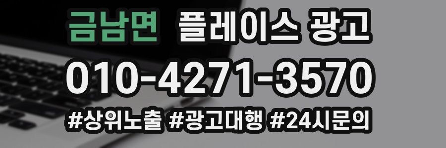 금남면 플레이스 광고