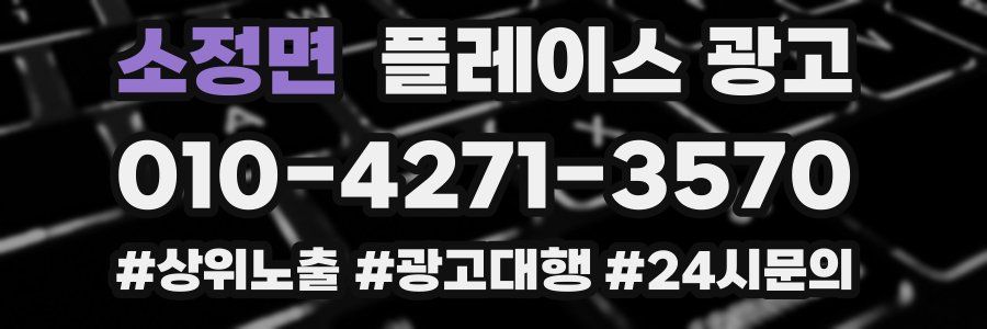 소정면 플레이스 광고