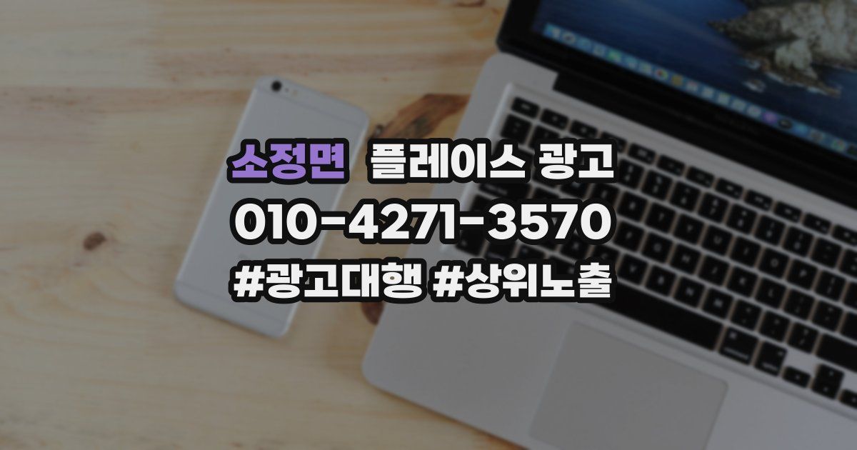 소정면 플레이스 광고