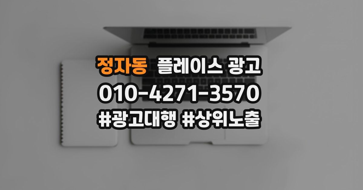 정자동 플레이스 광고