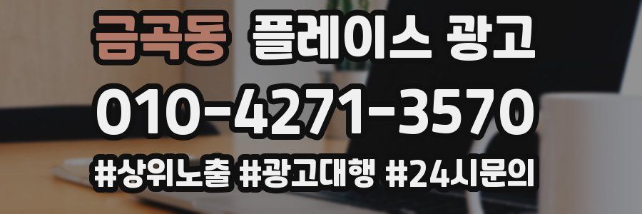 금곡동 플레이스 광고