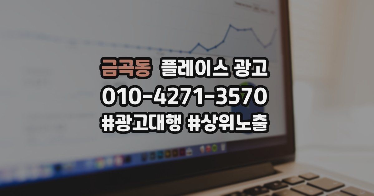 금곡동 플레이스 광고