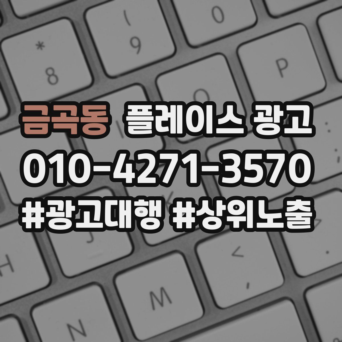 금곡동 플레이스 광고