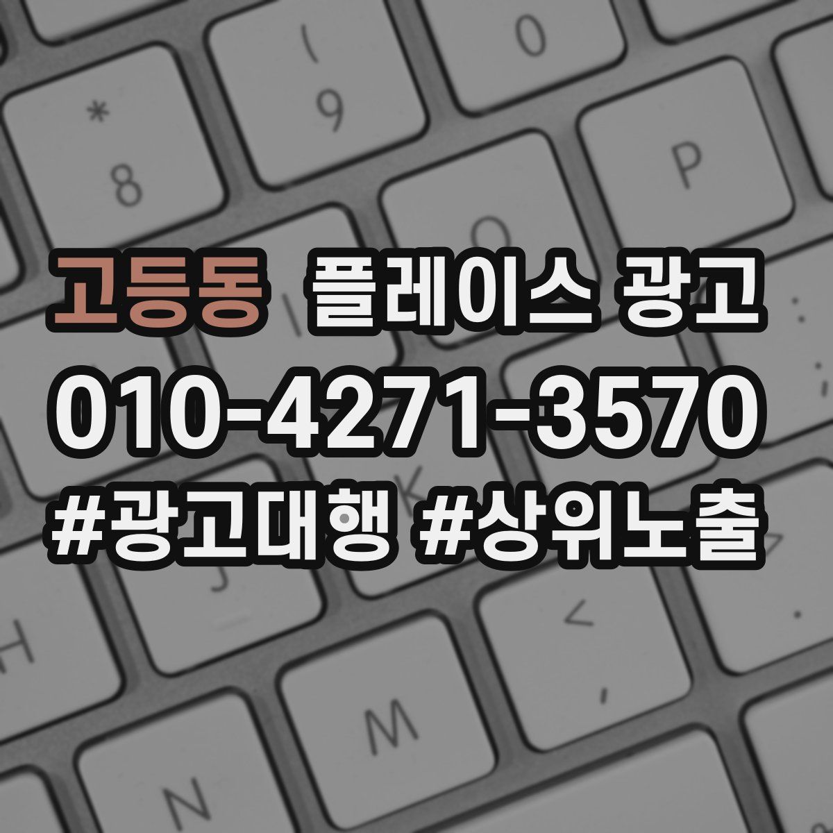 고등동 플레이스 광고