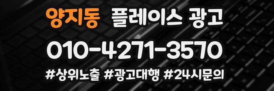 양지동 플레이스 광고