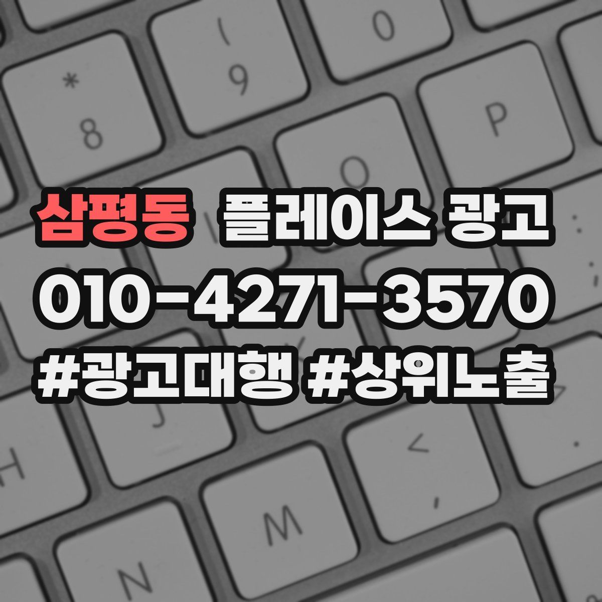 삼평동 플레이스 광고