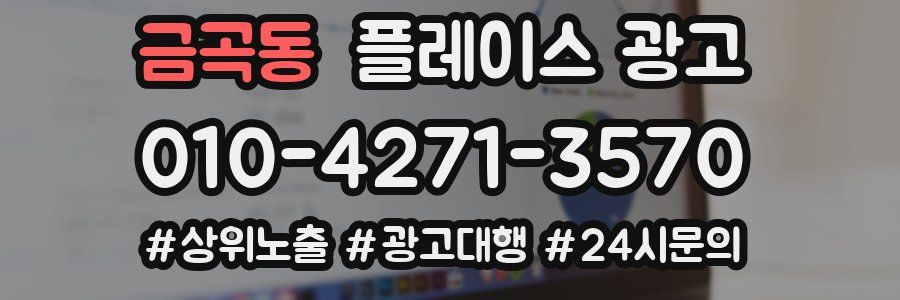 금곡동 플레이스 광고