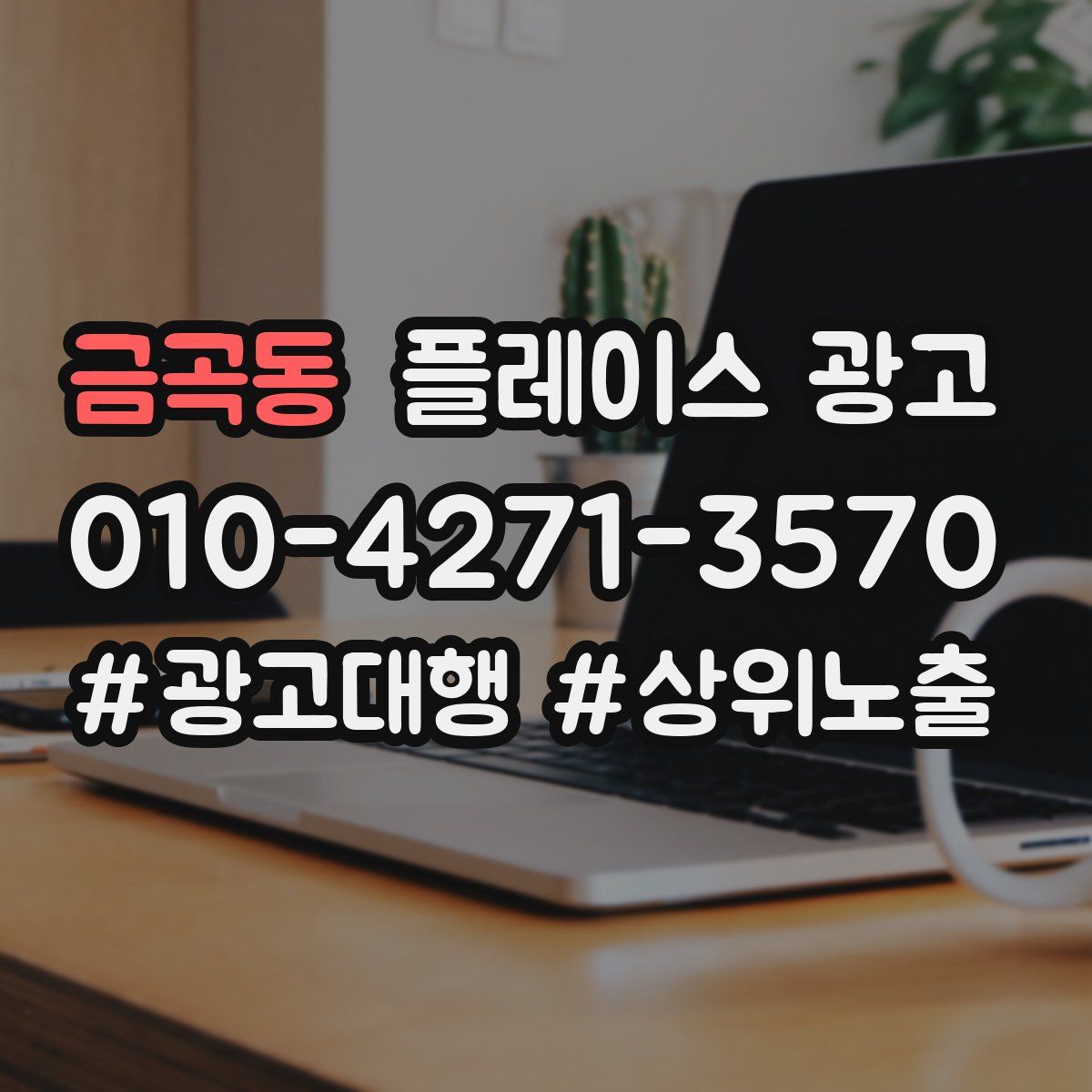 금곡동 플레이스 광고