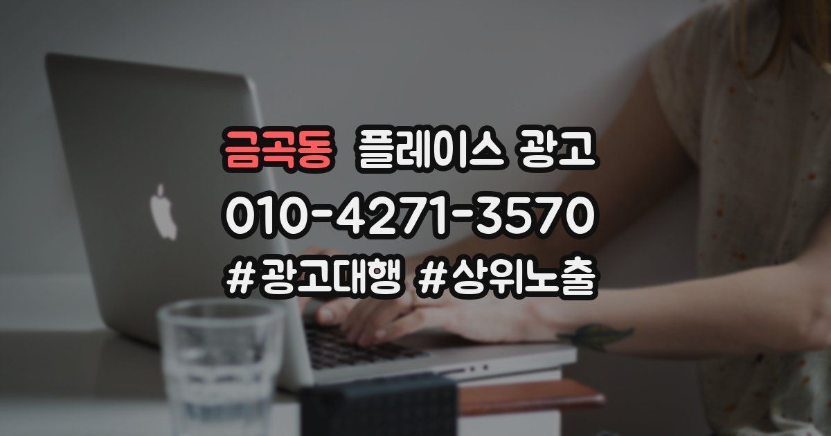 금곡동 플레이스 광고