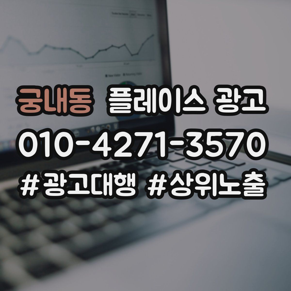 궁내동 플레이스 광고