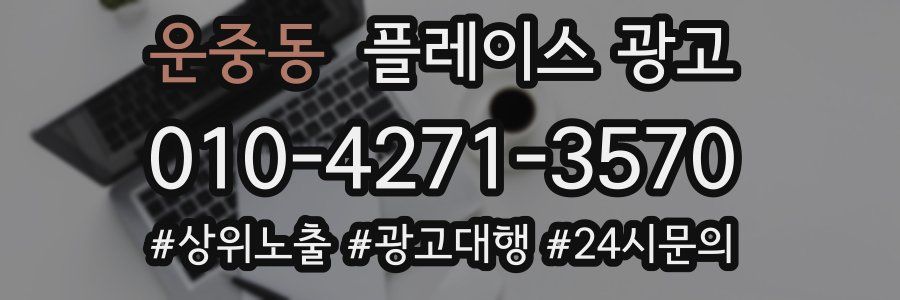 운중동 플레이스 광고