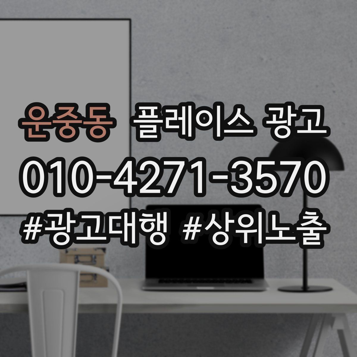 운중동 플레이스 광고
