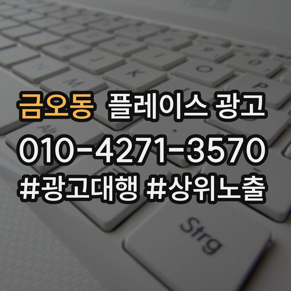 금오동 플레이스 광고