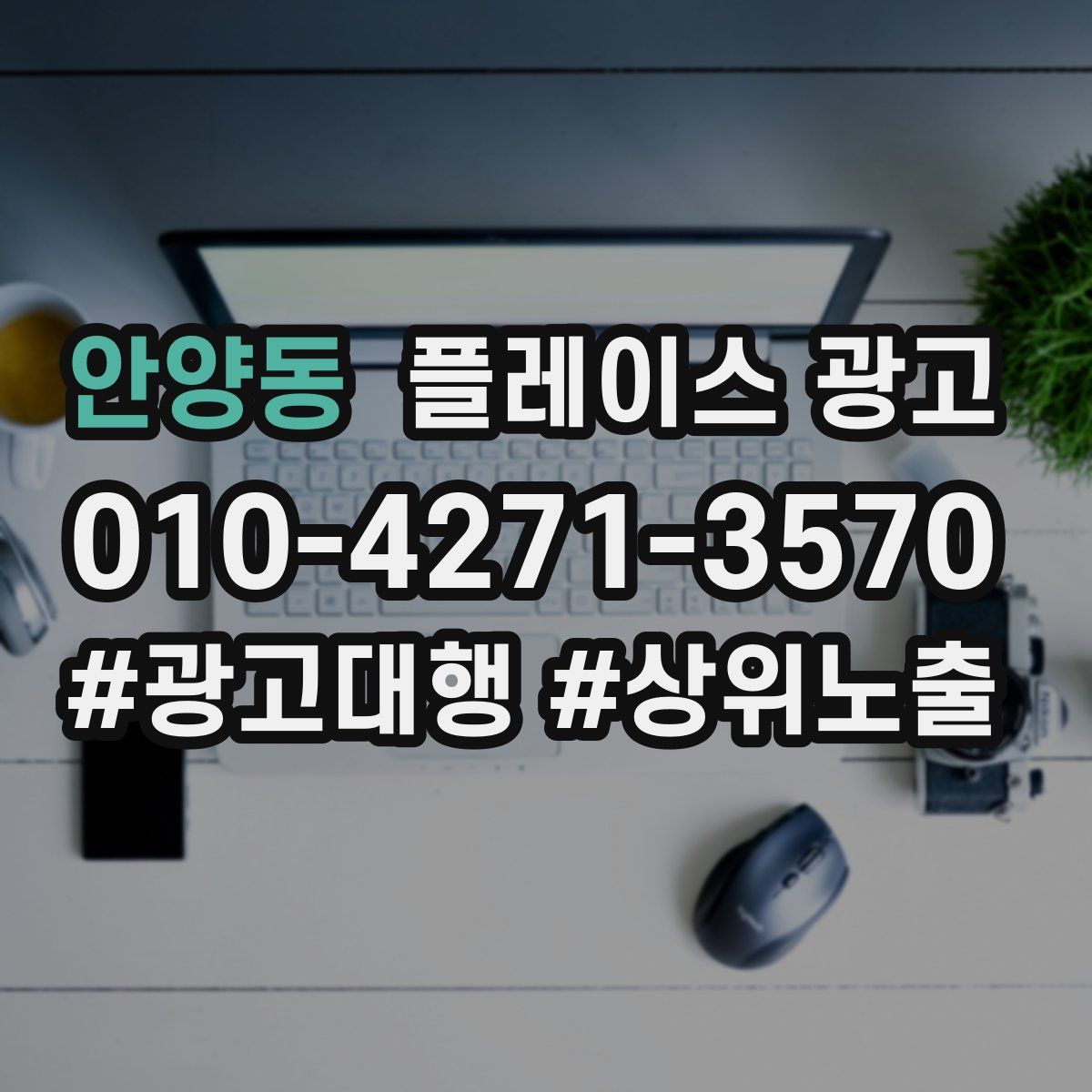 안양동 플레이스 광고