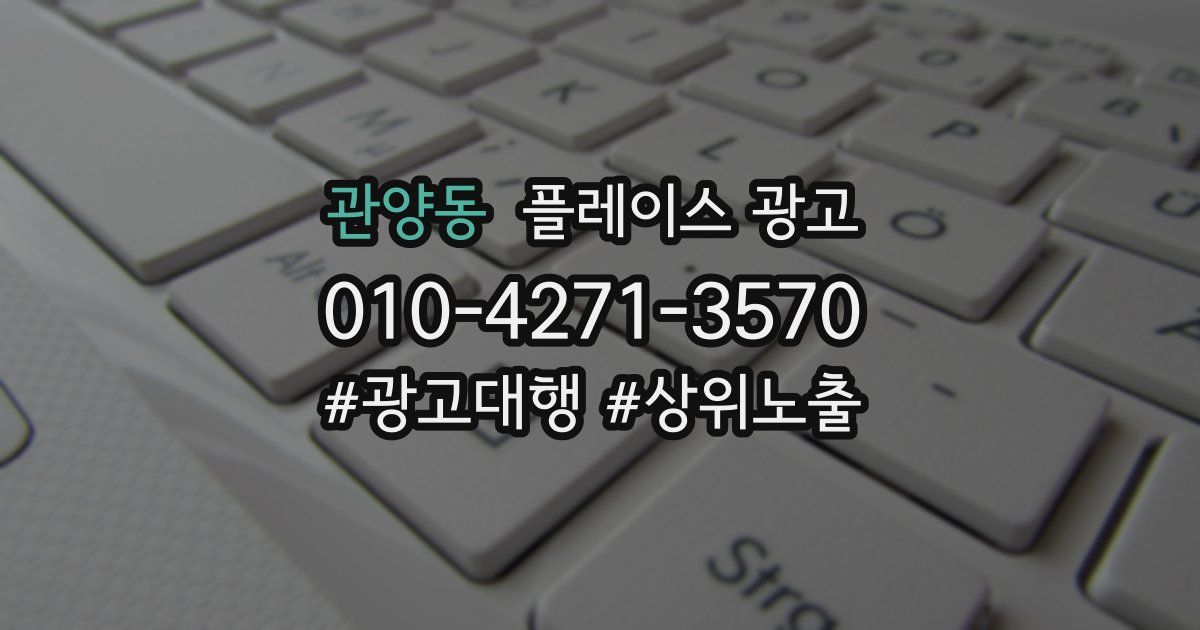 관양동 플레이스 광고