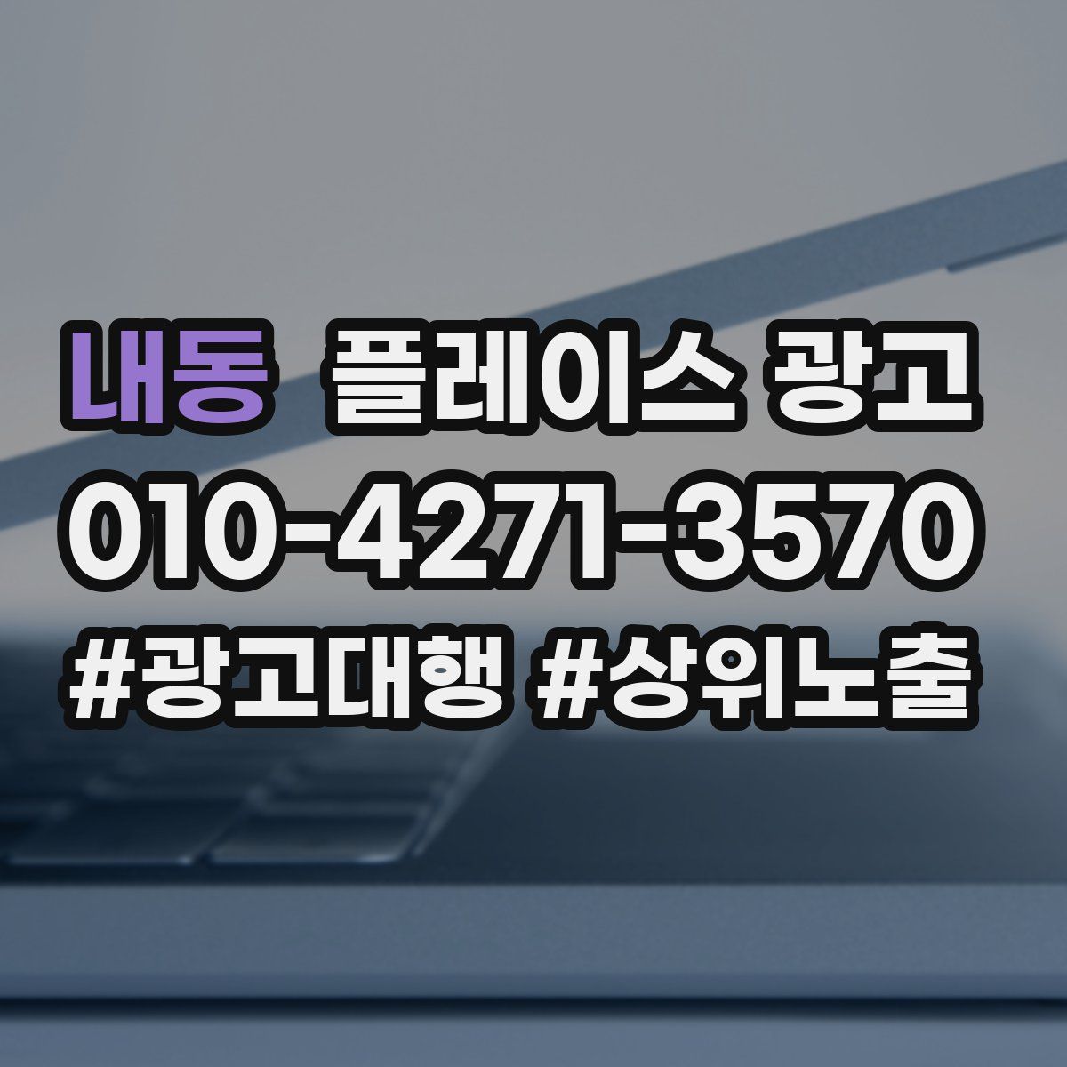 내동 플레이스 광고