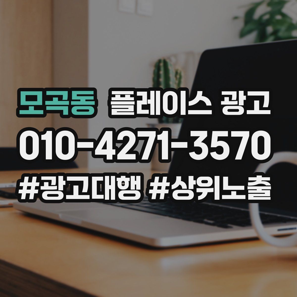 모곡동 플레이스 광고