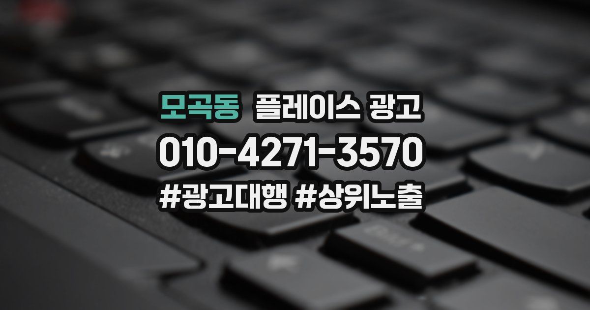 모곡동 플레이스 광고