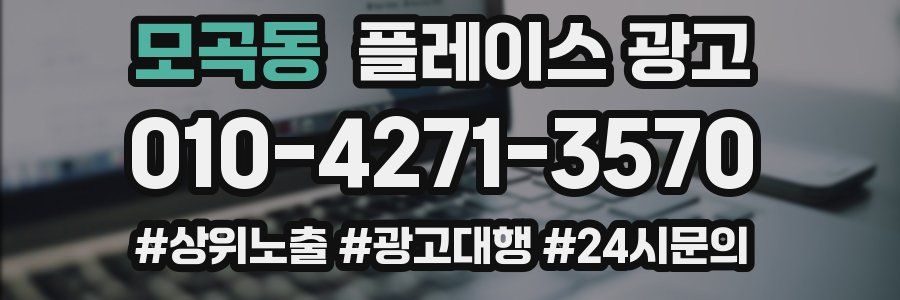 모곡동 플레이스 광고