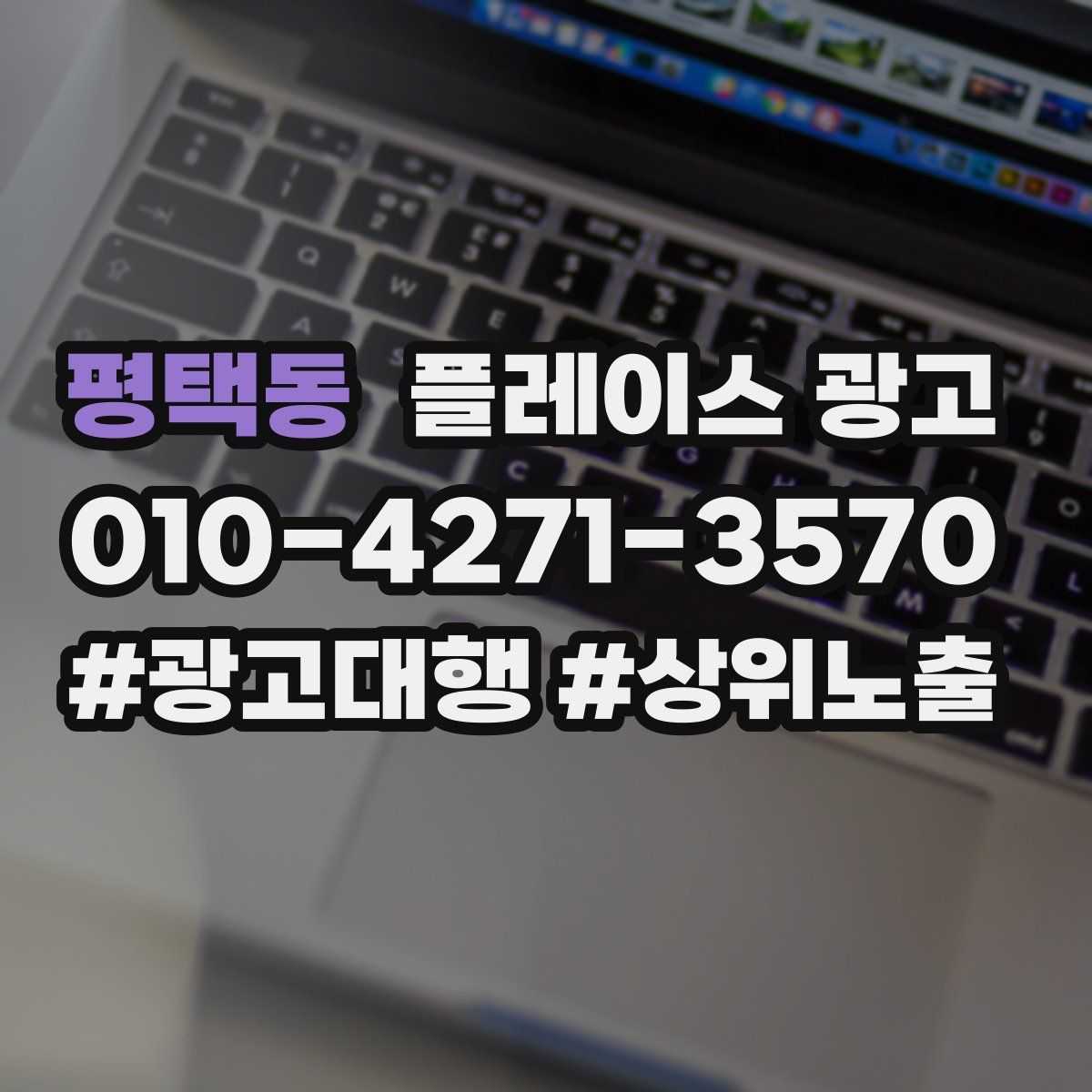평택동 플레이스 광고