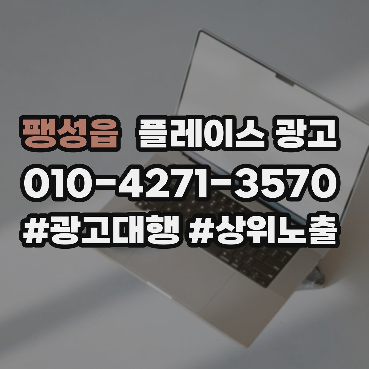 팽성읍 플레이스 광고