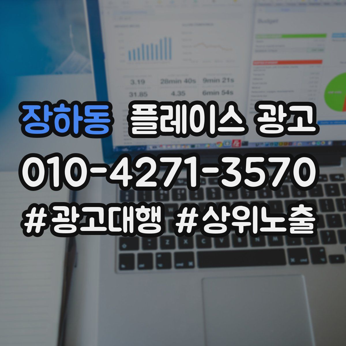 장하동 플레이스 광고