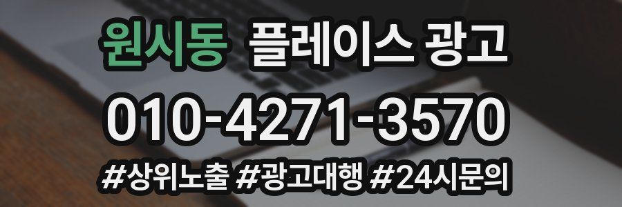 원시동 플레이스 광고