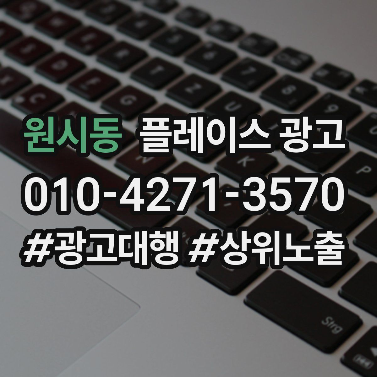 원시동 플레이스 광고