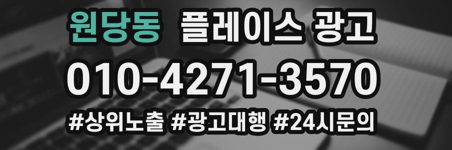 원당동 플레이스 광고