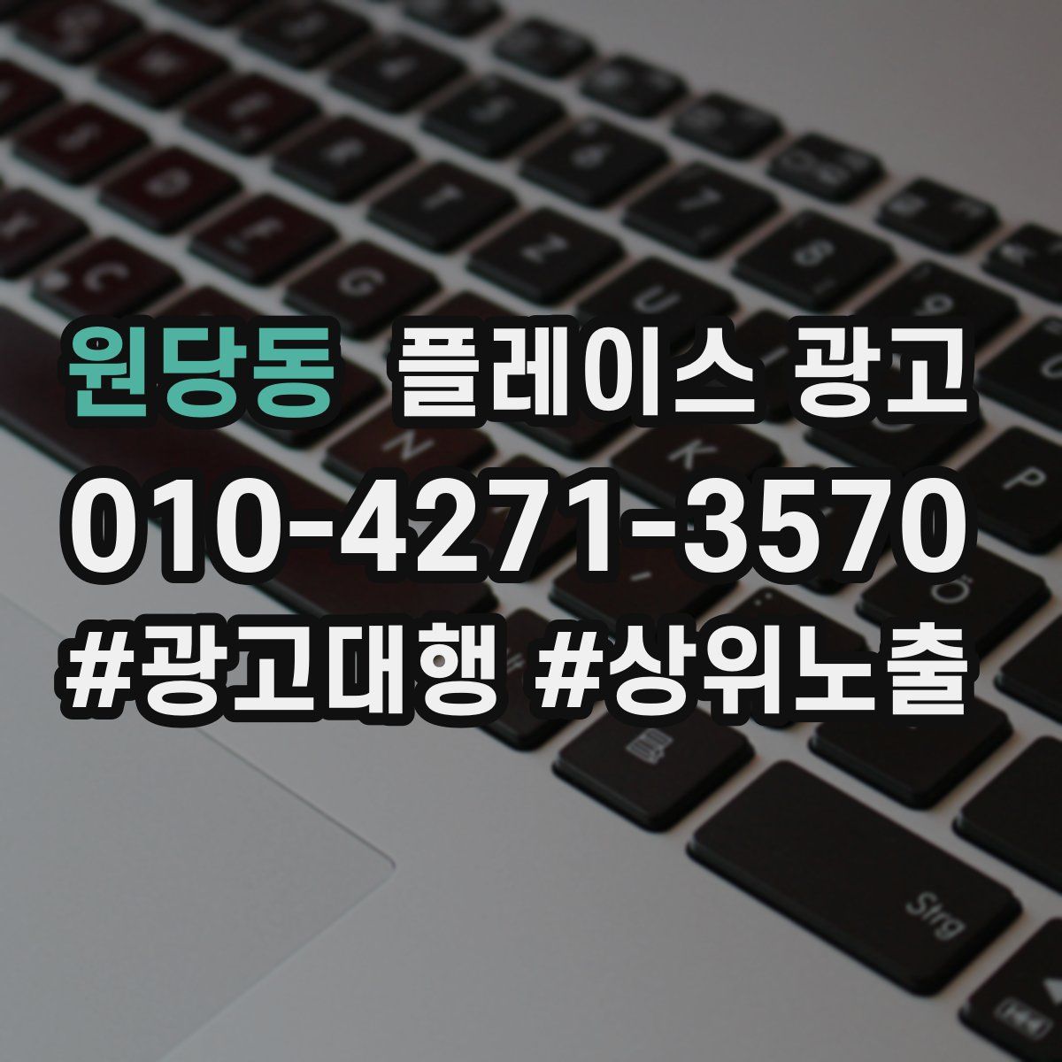 원당동 플레이스 광고