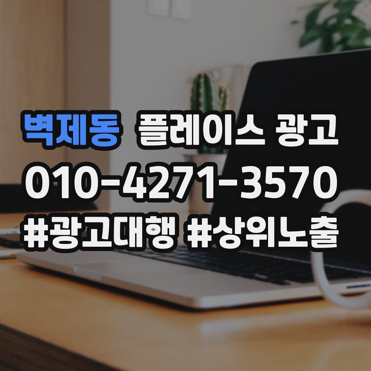 벽제동 플레이스 광고