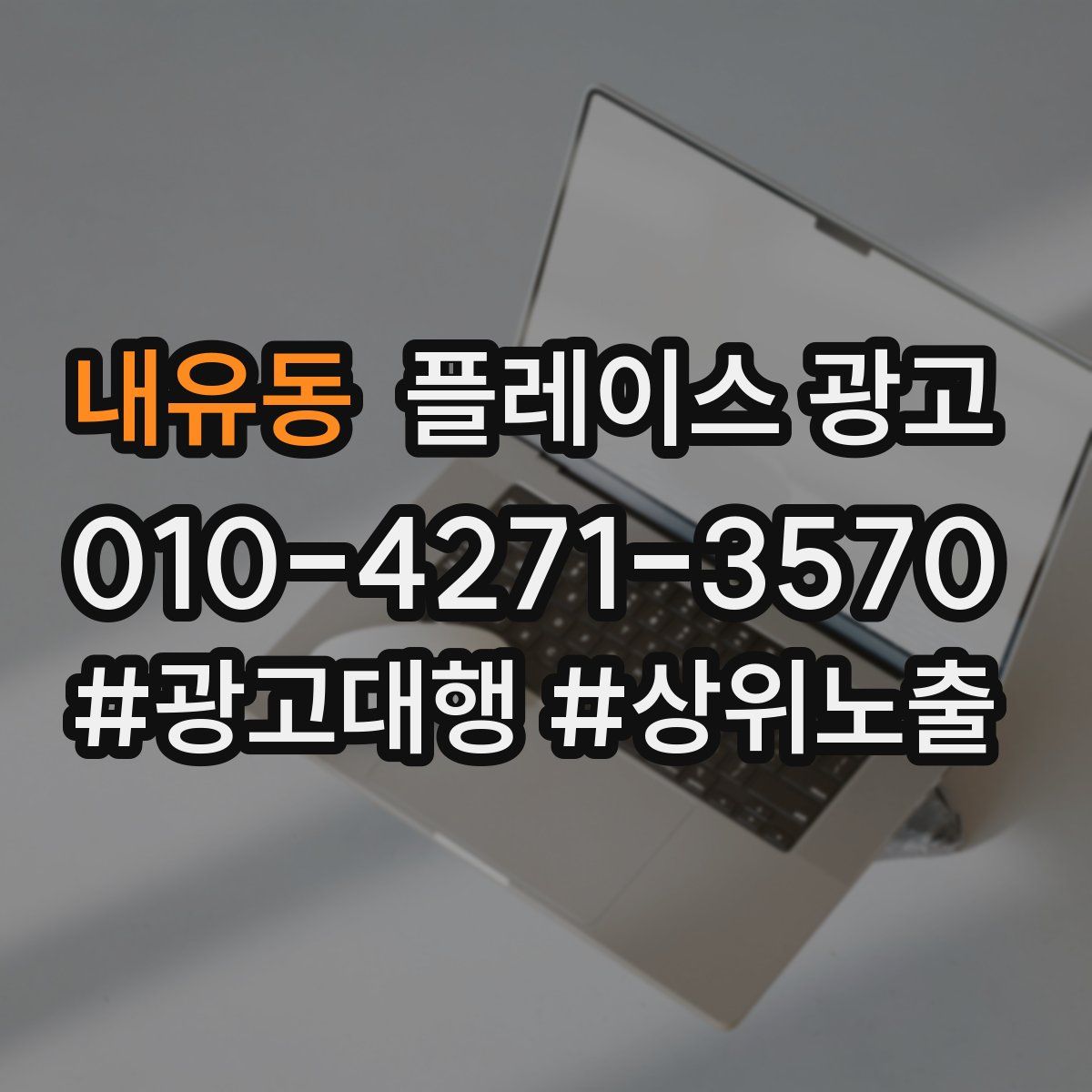 내유동 플레이스 광고