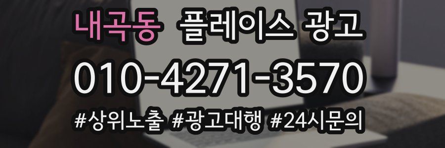 내곡동 플레이스 광고