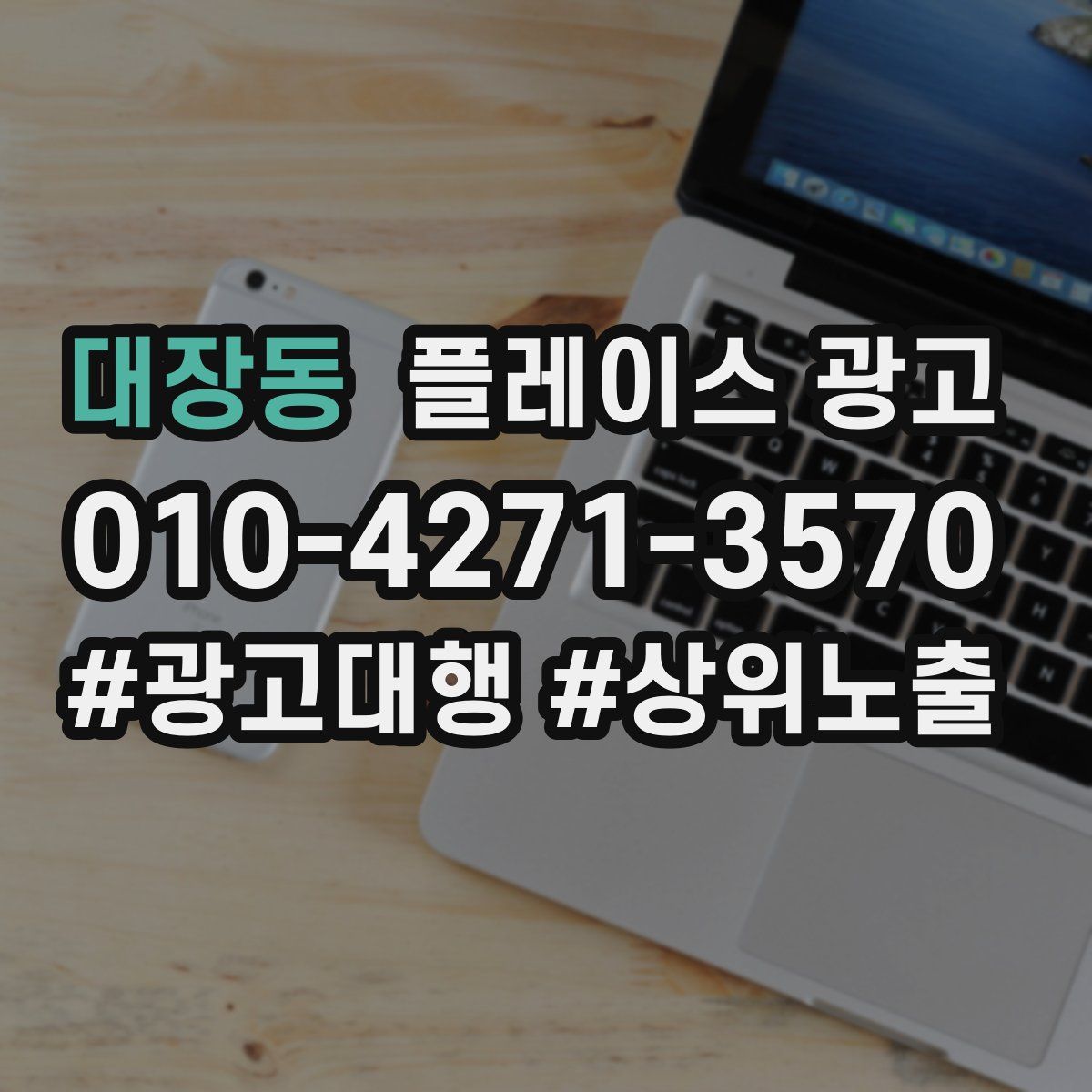 대장동 플레이스 광고