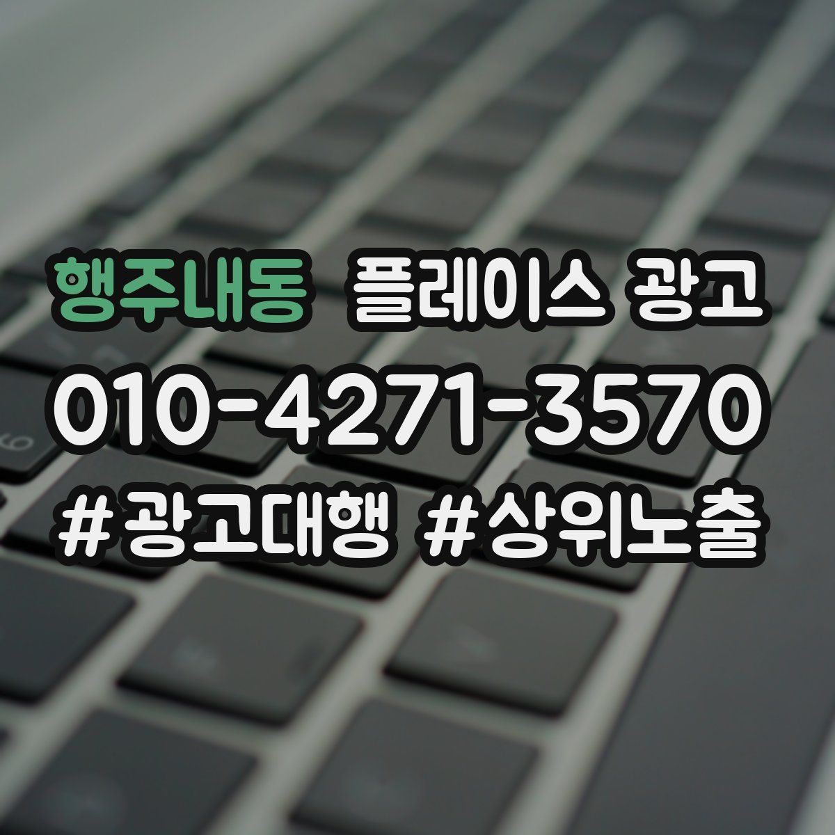 행주내동 플레이스 광고