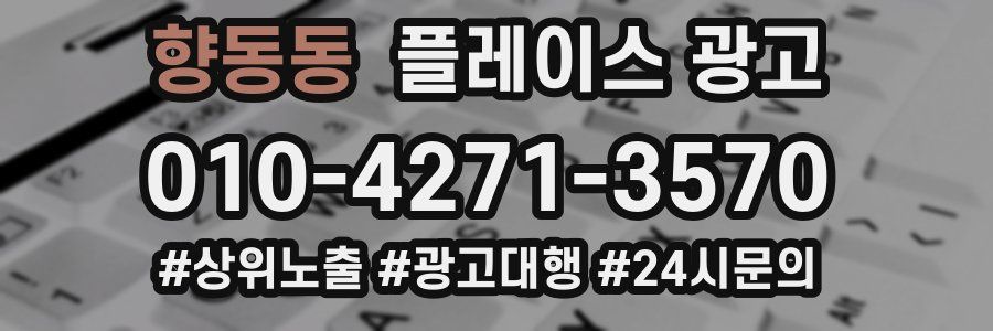 향동동 플레이스 광고