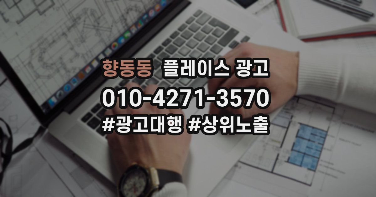 향동동 플레이스 광고