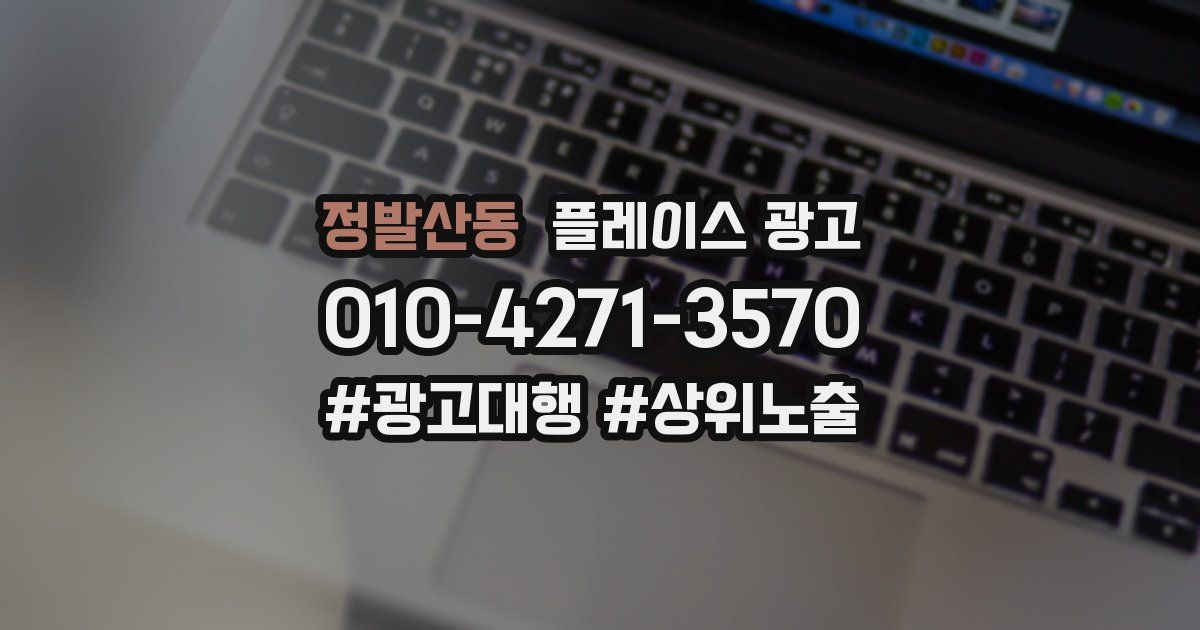 정발산동 플레이스 광고
