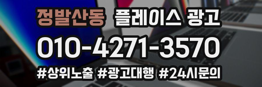 정발산동 플레이스 광고