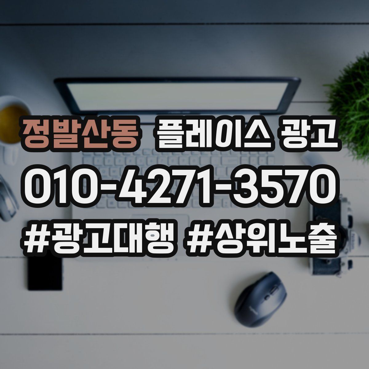 정발산동 플레이스 광고