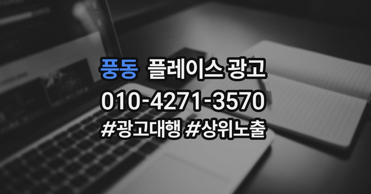 풍동 플레이스 광고