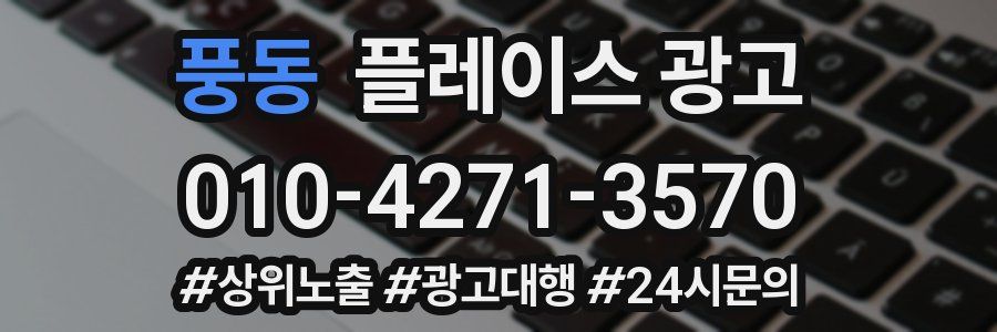 풍동 플레이스 광고