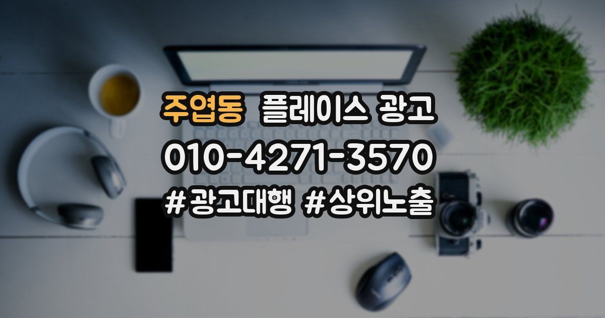주엽동 플레이스 광고