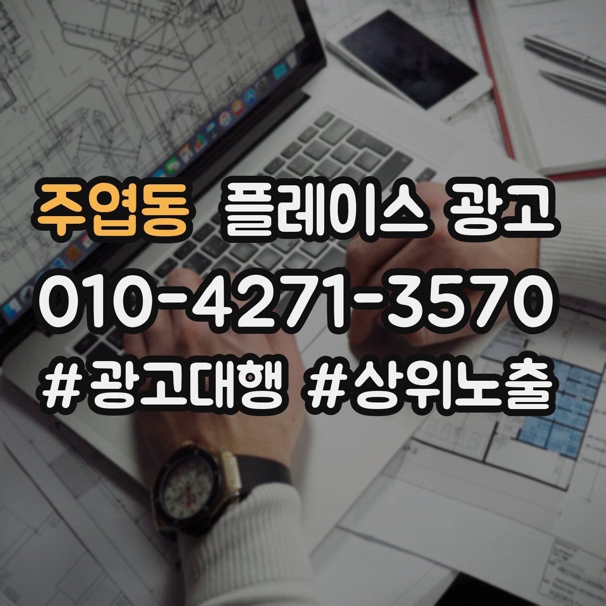 주엽동 플레이스 광고
