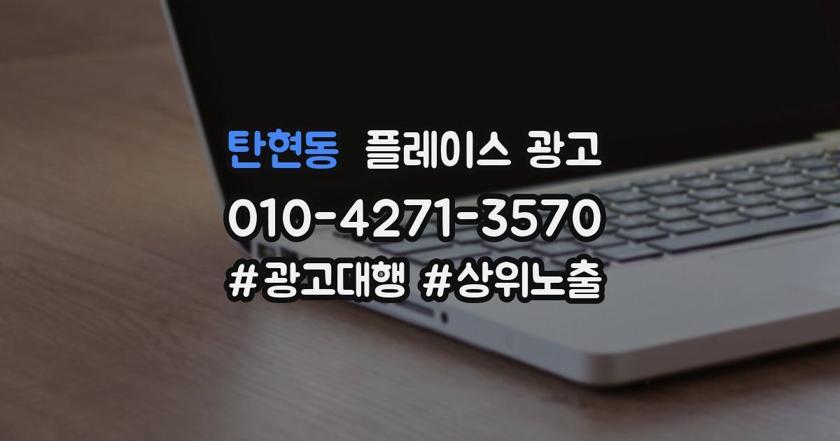 탄현동 플레이스 광고
