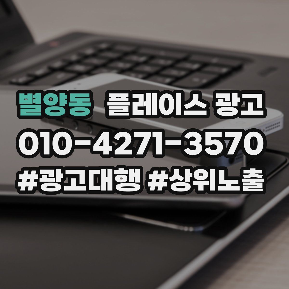 별양동 플레이스 광고