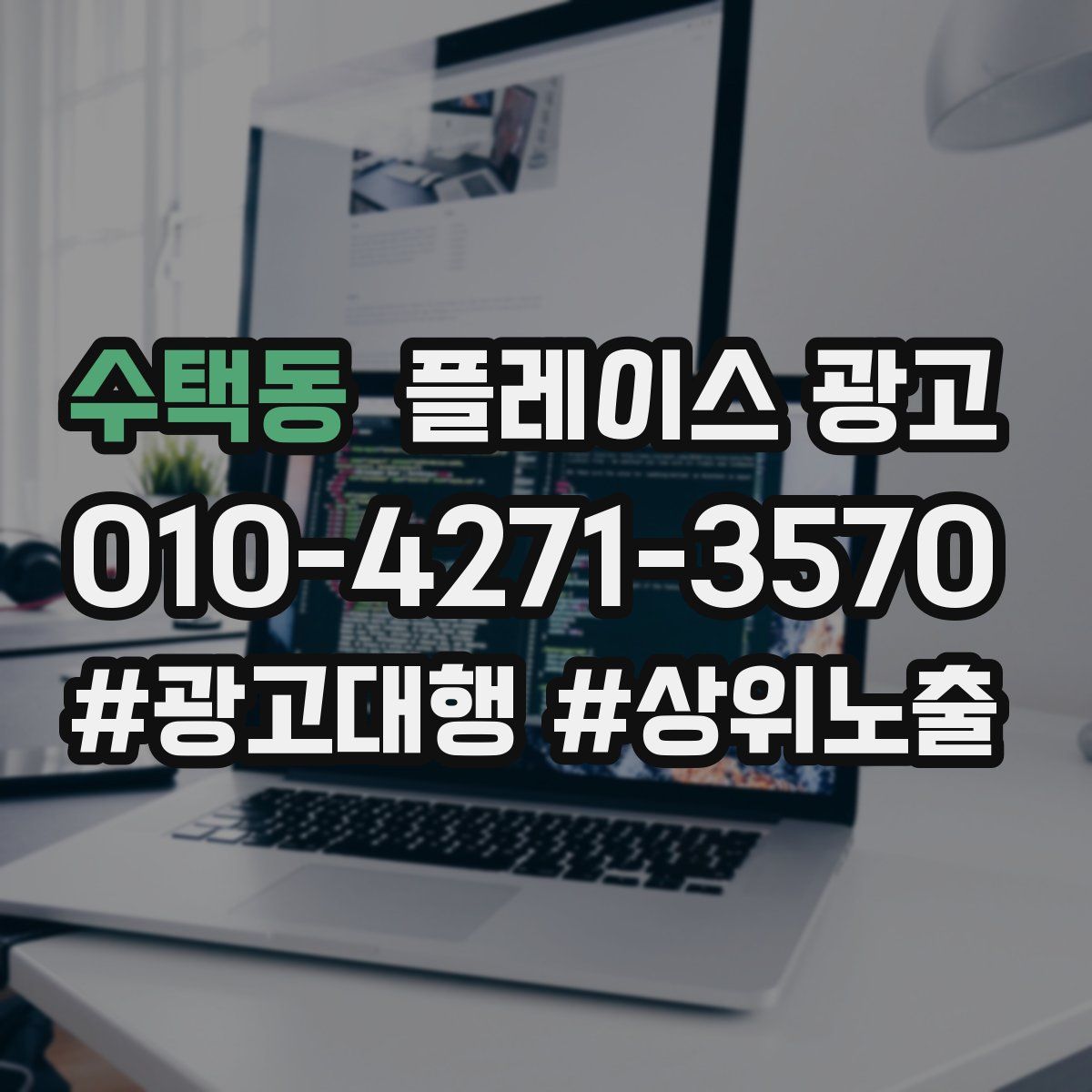 수택동 플레이스 광고