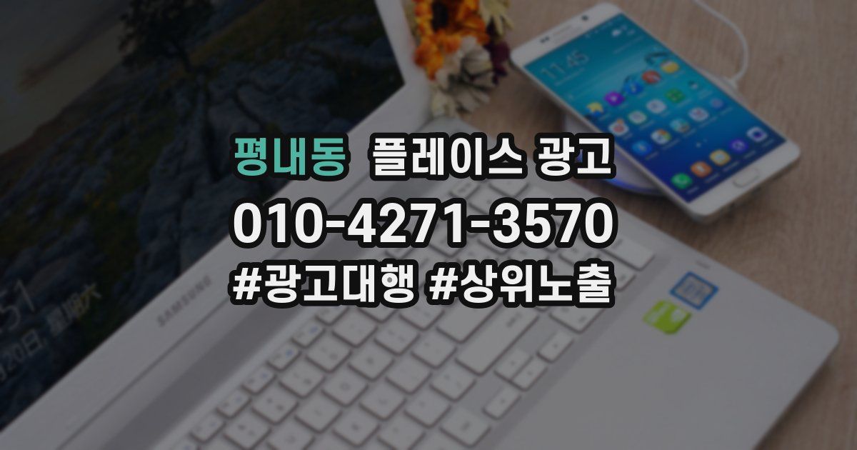 평내동 플레이스 광고