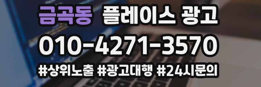 금곡동 플레이스 광고