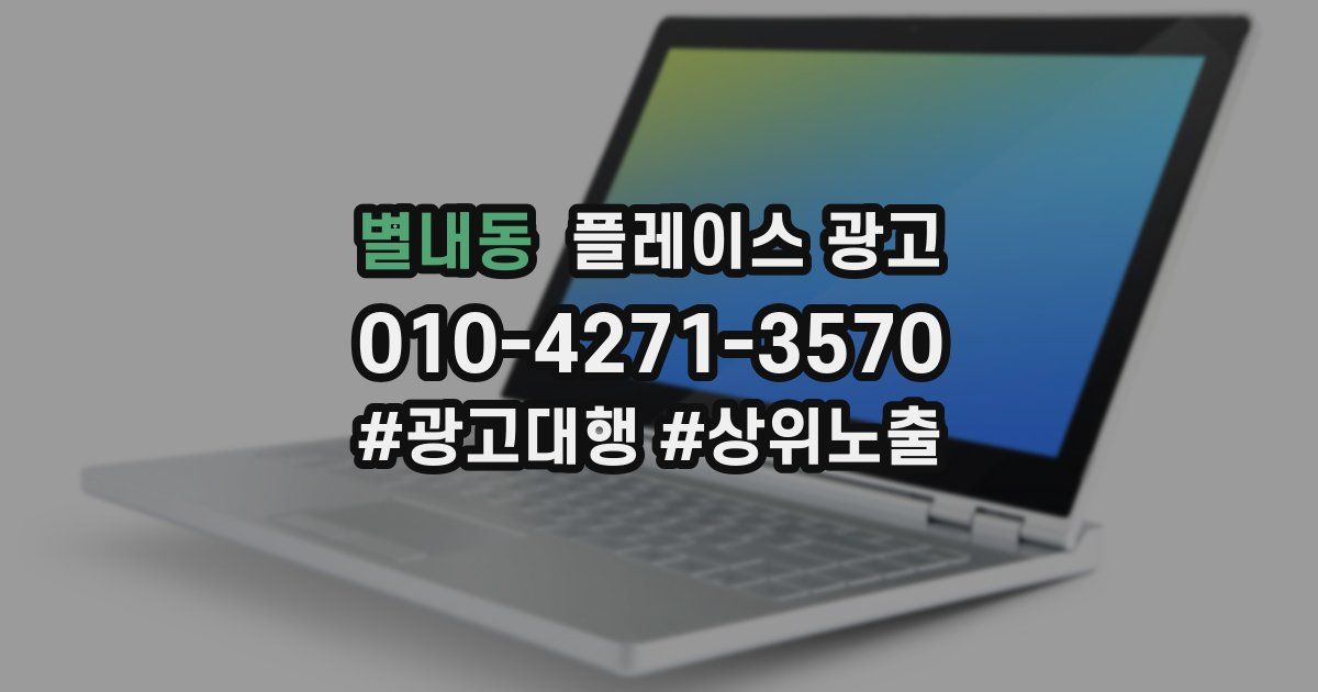 별내동 플레이스 광고